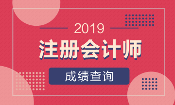 2019年平頂山注會考試成績查詢