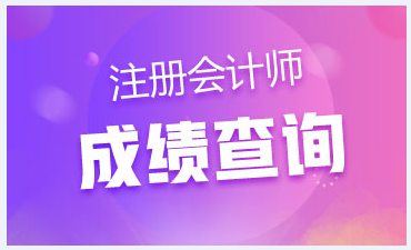 安徽合肥注冊會計師考試成績查詢