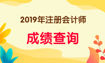 2019海南注冊(cè)會(huì)計(jì)師成績(jī)什么時(shí)間出？