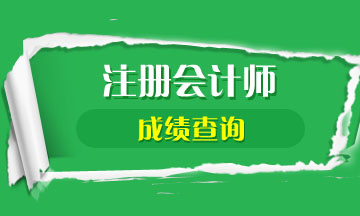 甘肅蘭州注冊(cè)會(huì)計(jì)師成績(jī)查詢