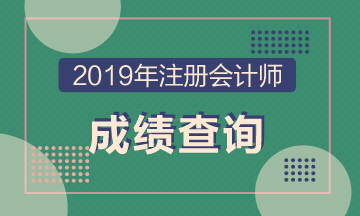 海南?？?019注冊(cè)會(huì)計(jì)師成績(jī)查詢