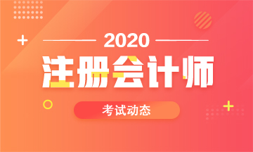 安徽2020cpa考試時間