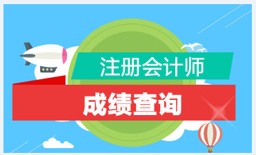 甘肅白銀注冊會計師成績查詢