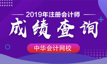 湖南2019年注冊(cè)會(huì)計(jì)師成績(jī)查詢