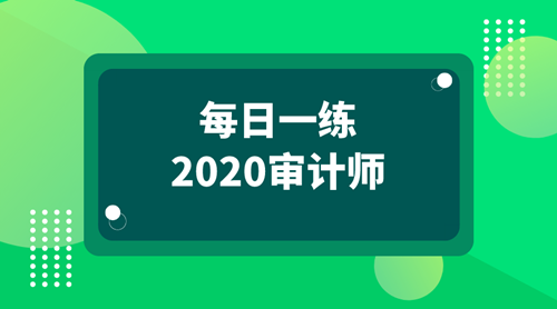 2020審計師每日一練