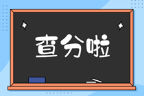 2019審計師成績查詢