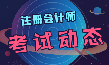 河南2020年注會考些什么題目？