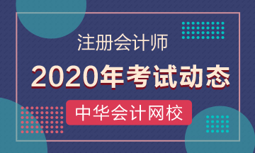 2020年cpa考試時間是哪天？