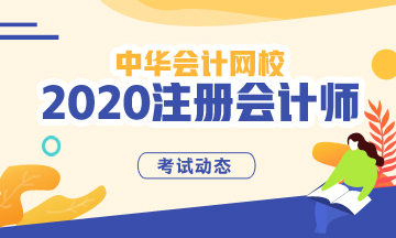 湖南CPA2020年專業(yè)階段考試時間