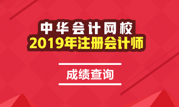 安徽2019年注冊會(huì)計(jì)師成績查詢