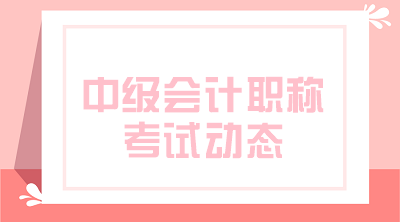 四川攀枝花2020年會(huì)計(jì)中級(jí)職稱(chēng)資格審核