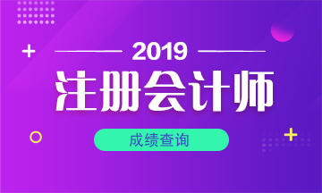 青海2019年cpa什么時(shí)候出成績(jī)