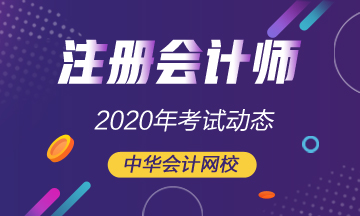 2020年cpa考試時(shí)間