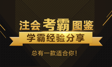 注冊(cè)會(huì)計(jì)師考試單科狀元經(jīng)驗(yàn)匯總~快來看看他們?cè)趺磳W(xué)的！