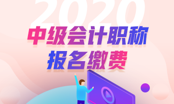 2020年安徽合肥中級(jí)會(huì)計(jì)職稱(chēng)報(bào)名流程