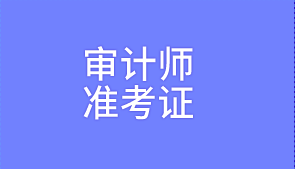 2020審計(jì)師準(zhǔn)考證打印