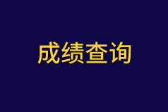 2020中級(jí)審計(jì)師成績查詢