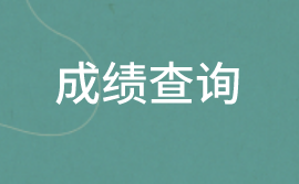 2020中級(jí)審計(jì)師成績(jī)查詢信息