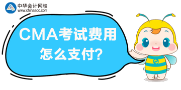 CMA考試費用怎么支付？能用支付寶或者微信嗎？