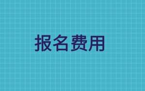 高級(jí)經(jīng)濟(jì)師考試報(bào)名費(fèi)用