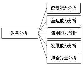 財(cái)務(wù)分析