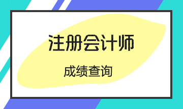 2020年廣東注冊(cè)會(huì)計(jì)師考試成績查詢你了解嗎！