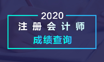 蕪湖2020注會(huì)考試成績(jī)查詢時(shí)間