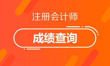 2020鶴壁注會考試成績查詢時間