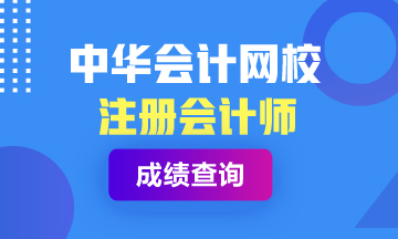 洛陽2020注會(huì)成績什么時(shí)候出來