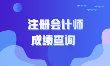 2020年江西注冊會計(jì)師成績查詢網(wǎng)址8