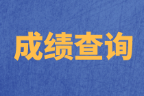 合肥2020年資產評估師考試成績查詢時間確定了嗎？