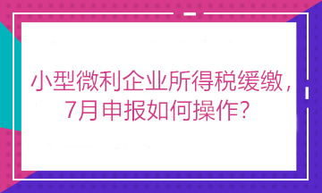 小型微利企業(yè)所得稅緩繳，7月申報(bào)如何操作？看這里！