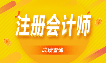 河南2020注冊會計師成績查詢相關信息了解一下