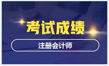 甘肅2020CPA考試成績(jī)查詢(xún)時(shí)間定了嗎？