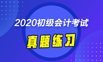 備考2020年初會考試 《初級會計實務(wù)》試題怎么能少？