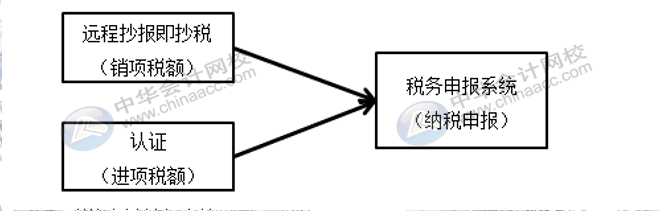 每月征期該怎么抄報呢？步驟來了~