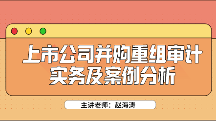 上市公司并購重組審計(jì)實(shí)務(wù)及案例分析