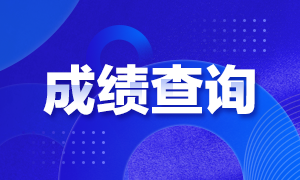 2020安徽合肥CPA成績(jī)查詢需要了解哪些信息？