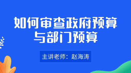 如何審查政府預(yù)算與部門預(yù)算