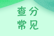 廣西2020年中級會計師考試成績查詢時間公布了嗎？