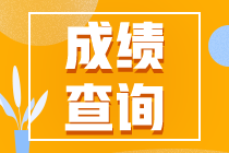 山東省2020年初級(jí)會(huì)計(jì)成績(jī)查詢(xún)時(shí)間為何時(shí)？