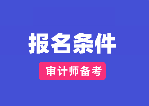 山東2020國(guó)際審計(jì)師報(bào)考條件及時(shí)間？