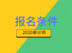 2020年國際內(nèi)部審計師報考條件都有什么要求？