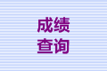 2020安徽淮南中級(jí)會(huì)計(jì)考試成績(jī)查詢時(shí)間