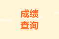 2020年西藏山南市中級(jí)成績查詢?nèi)肟陂_通了嗎？