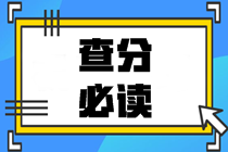 2020中級(jí)會(huì)計(jì)職稱查分總攻略：查分前中后都得注意點(diǎn)啥？