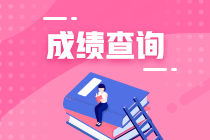 上海2020年資產(chǎn)評估師考試成績查詢時間到了嗎？