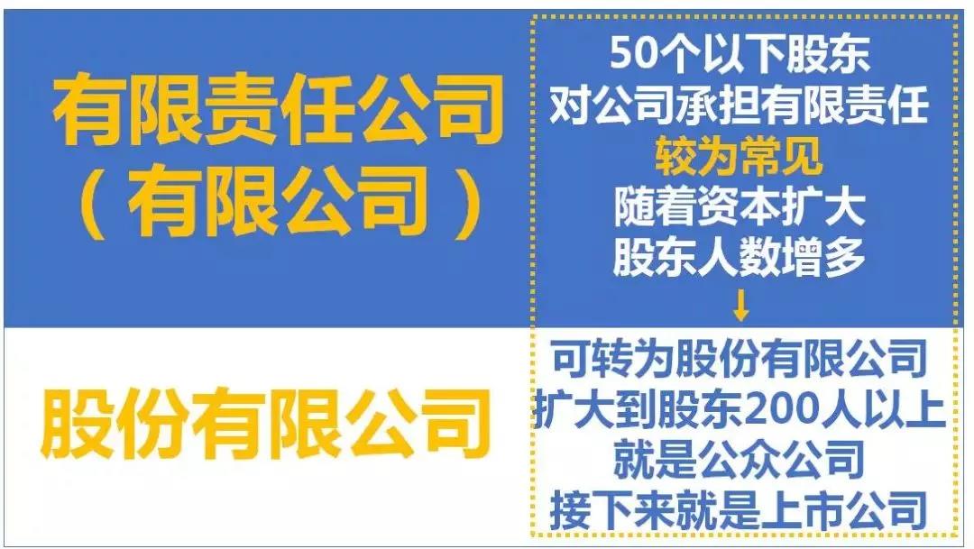 最全總結(jié)！公司、個(gè)體戶、分公司、子公司、有限公司有啥區(qū)別？