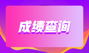 2020年審計師考試成績查詢時間到啦！