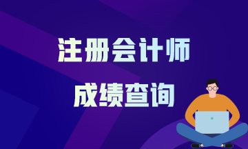 2020年河南鄭州注冊(cè)會(huì)計(jì)師的成績查詢時(shí)間公布了嗎？